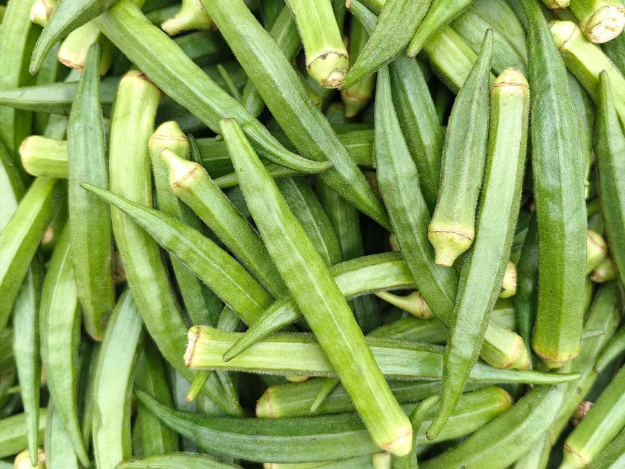 بامية