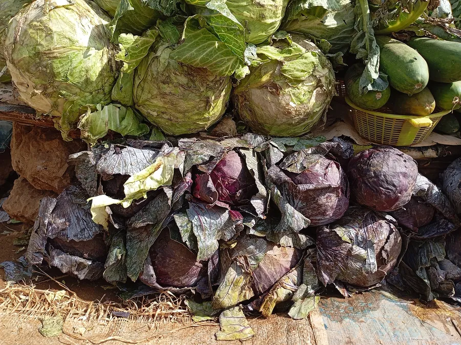 كرنب سلطة